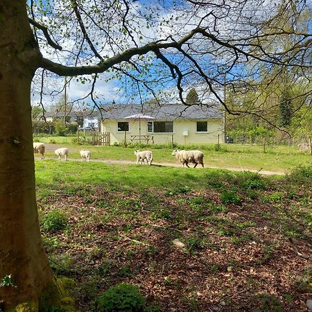 The Bungalow, Forest Of Dean コールフォード エクステリア 写真