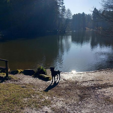 The Bungalow, Forest Of Dean コールフォード エクステリア 写真