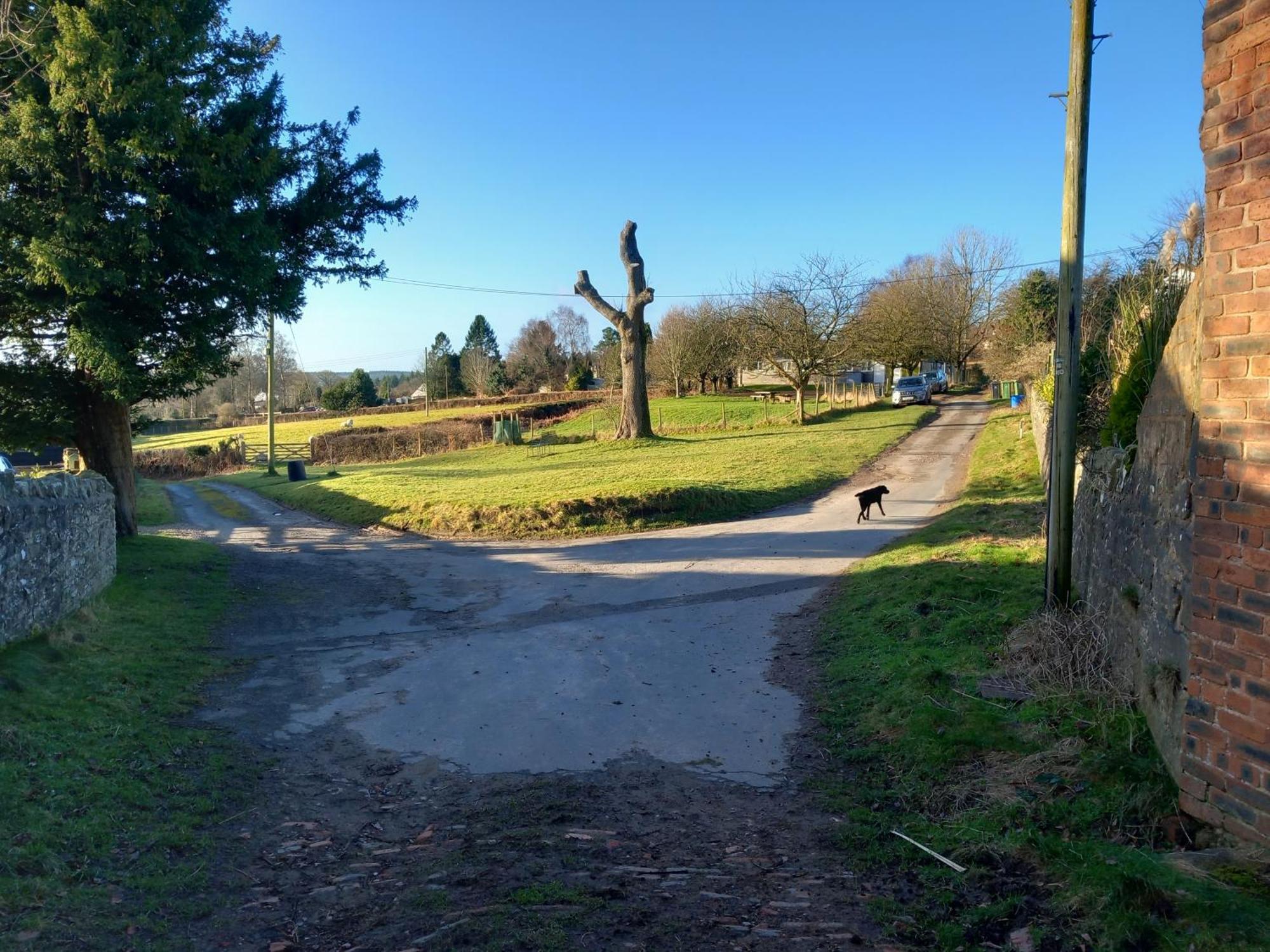 The Bungalow, Forest Of Dean コールフォード エクステリア 写真