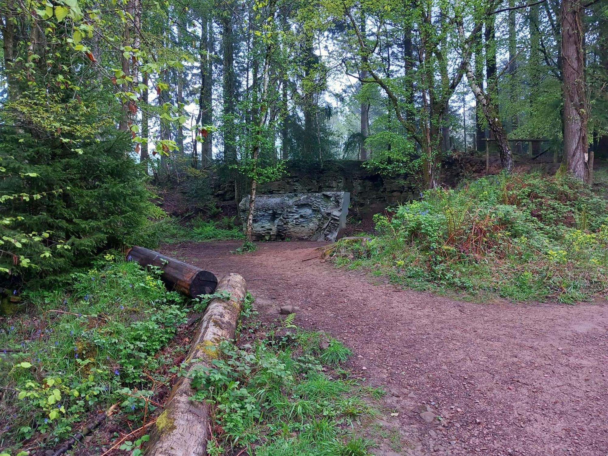 The Bungalow, Forest Of Dean コールフォード エクステリア 写真